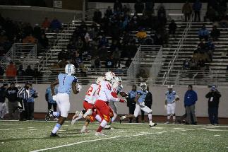 November 8 2019 IMG_9083477